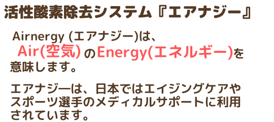 活性酸素除去システム　エアナジー