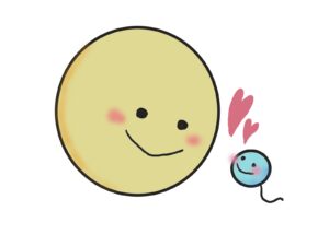 卵子と精子