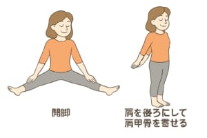ストレッチ
