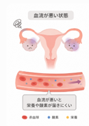 血流