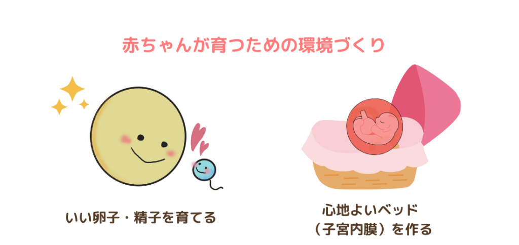 妊活のキホン